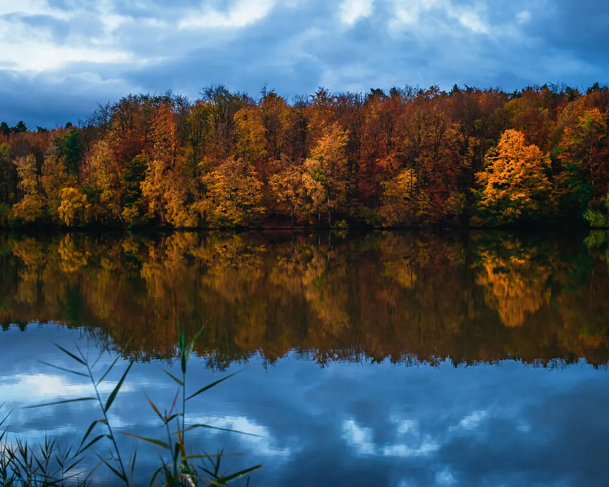 Autumn Viewpoints Veliko Târnovo: Fall Guide 2025